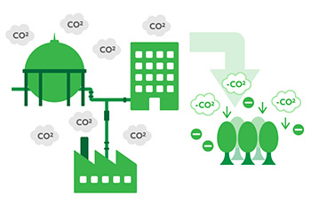 カーボンニュートラル都市ガスで排出されるCO2は、森林保全や植林等で吸収されるものとみなされます。